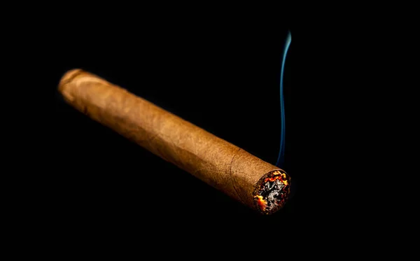 Braune Zigarre Auf Dunklem Hintergrund Verbrannt Stockbild