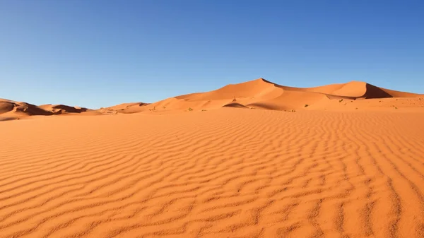 Красивые Песчаные Дюны Пустыне Стоковое Фото