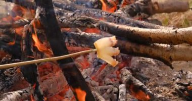 Kızarmış domuz pastırması ve bir dilim kızarmış ekmek. Romanya 'da doğa, argo ve geleneksel yemek.