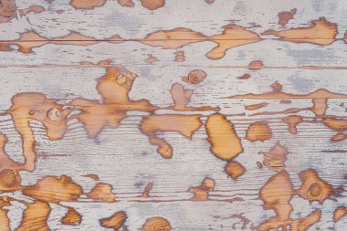 Eski tahtaların ahşap arka plan grunge dokusu, kabuk soyucu döşeme, cilalanmış kalaslar, kapanış.