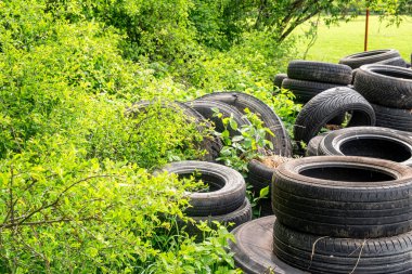 Kullanılmış araba lastikleri ormana atılmış. Çevre kirliliği kavramı