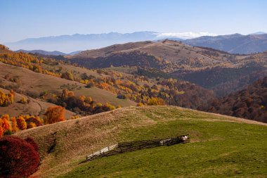 Romanya dağlarındaki güzel sonbahar manzaraları, Fantanele köyü bölgesi, Sibiu ilçesi, Cindrel dağları, Romanya