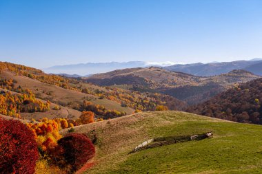 Romanya dağlarındaki güzel sonbahar manzaraları, Fantanele köyü bölgesi, Sibiu ilçesi, Cindrel dağları, Romanya