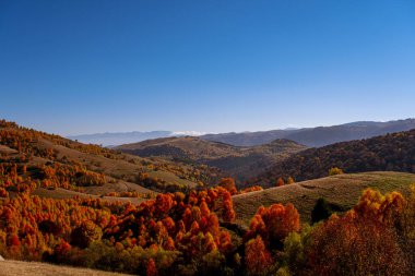 Romanya dağlarındaki güzel sonbahar manzaraları, Fantanele köyü bölgesi, Sibiu ilçesi, Cindrel dağları, Romanya