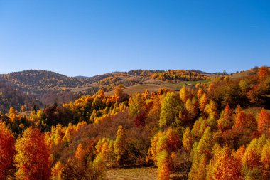 Romanya dağlarındaki güzel sonbahar manzaraları, Fantanele köyü bölgesi, Sibiu ilçesi, Cindrel dağları, Romanya