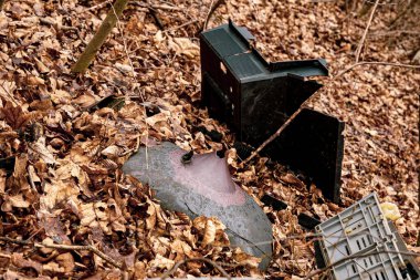 Kırık Katolik Elektron Işınlama Tüpü Eski TV Ormanda mahvolmuş televizyon çöpleri, Ormanda çöp yığınları, yasadışı çöplükler, Orman kirliliği