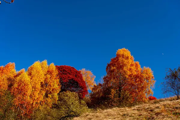 stock image beautiful autumn landscapes in the Romanian mountains, Fantanele village area, Sibiu county, Cindrel mountains, Romania