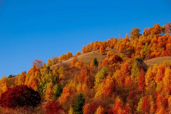 stock image beautiful autumn landscapes in the Romanian mountains, Fantanele village area, Sibiu county, Cindrel mountains, Romania