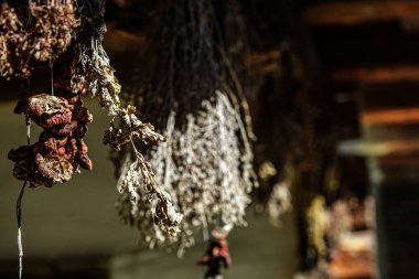 geleneksel Romen köylü evinde kurutulmuş çeşitli aromatik otlar ve mantarlar