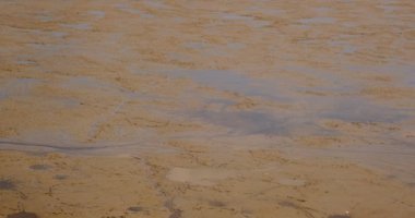 Kuru bir gölün dibinde küçük bir su akıntısı