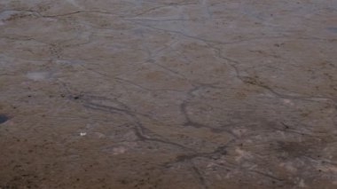 Kuru bir gölün dibinde küçük bir su akıntısı