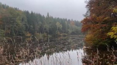 Autumn park with picturesque trees by the lake