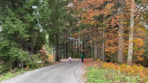 Брат Сестра Веселятся Вместе Лесной Дороге Исследуя Деревья — стоковое видео