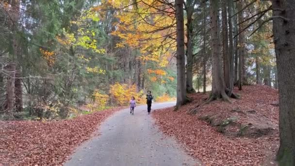 Brother Sister Having Fun Together Forest Road While Exploring Trees — Stockvideo