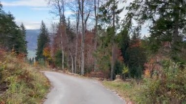 Winding road amidst trees with overhead cable car in distant