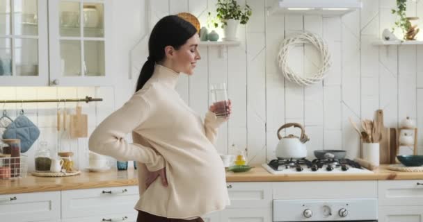 Mutfakta Duran Hamile Beyaz Bir Kadın Elinde Bir Bardak Suyla — Stok video