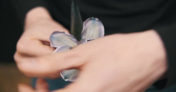 Manlig Blomsterhandlare Avslöjar Försiktigt Den Intrikata Skönheten Tulpanblomma Exakt Och — Stockvideo