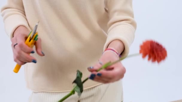 Μια Γυναίκα Ανθοπώλης Κουρεύει Σχολαστικά Ένα Λουλούδι Ένα Ψαλίδι Ακρίβεια — Αρχείο Βίντεο