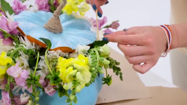 Florist Dengan Susah Payah Mengatur Karangan Bunga Dalam Labu Berlubang — Stok Video