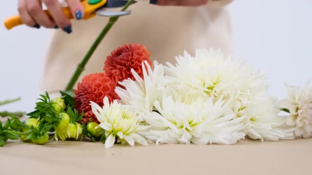 Delikatne Kobiece Dłonie Miłością Układają Asortyment Żywych Kwiatów Stole Delikatną — Wideo stockowe