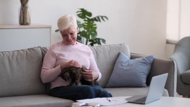 Momento Ternura Una Anciana Sienta Sofá Acariciando Suavemente Piel Gato — Vídeos de Stock