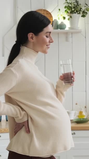 Mulher Grávida Caucasiana Amigável Relaxado Beber Água Vidro Casa Cozinha — Vídeo de Stock