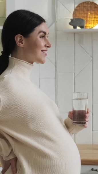 Mulher Branca Grávida Feliz Bebendo Água Limpa Acariciando Barriga Casa — Vídeo de Stock