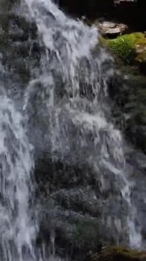Şelale ya da dağcı kayalık kayalıklardan aşağı yuvarlanıyor. Etrafı sakin bir orman manzarasıyla çevrili. Vahşi doğada doğa güzelliği. Dikey video.