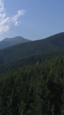 Görkemli dağlar, yemyeşil ormanlar, canlı ağaçlar ve gökyüzü gökyüzünden aydınlanan güneş ışığı. Doğa manzarası. Dikey video.