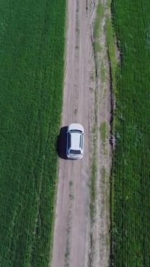 Kırsal bir yolda, yemyeşil tarlalarla çevrili bir arazi aracının hava görüntüsü. Doğayı ve macerayı vurgulayan manzara. Dikey video.