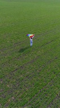 Gökkuşağı LGBT bayrağı taşıyan, gururu, özgürlüğü ve birliği kutlayan bir kadının sevinçle bir tarlada koşuşunun havadan görüntüsü. Dikey video.