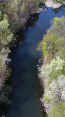Bereketli yeşil orman ve ağaçların sardığı ve doğanın tazeliğini ve dingin manzarasını yakalayan kıvrımlı bir nehrin havadan görünüşü. Dikey video.
