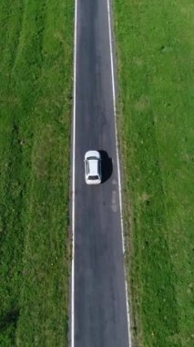 Canlı yeşil tarlalar ve sık ormanlarla çevrili bir otoyoldaki bir arabanın hava görüntüsü. Doğanın keşfi ve kırsal kesifler. Dikey video.