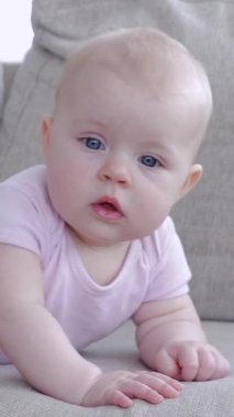 Evdeki oturma odasındaki kanepede emekleyen meraklı beyaz bir bebek. Etraftaki öğrenme dünyası kavramı ve keşfetmek. Dikey video.