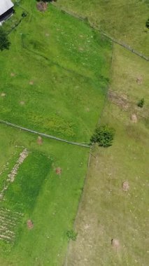 Kırsal doğanın cazibesini ve güzelliğini gözler önüne seren bir köy ortamındaki yeşil çayır ya da çimenlik bir arazinin havadan görünüşü. Dikey video.