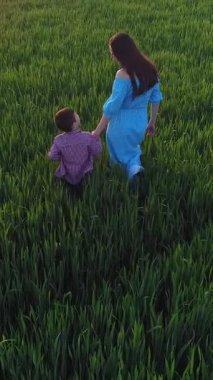 Bir annenin oğlunu öperken doğal bir ortamda sakin bir şekilde yürüdüğünü gösteren hava görüntüsü. Aile anı sevgi ve rahatlıkla dolu. Dikey video.
