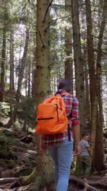 Anne ve oğlu ormanda geziniyor, huzurlu bir doğa tatili ya da hafta sonu gezisi sırasında birlikte güzel vakit geçiriyorlar. Dikey video.