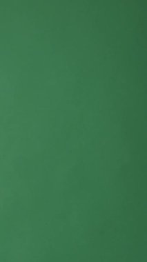 Neşeli kadın pandomimci yeşil arka planda komik bir el dürbünü yaratıyor, neşeli hareketlerle eğlence ve merakı ifade ediyor. Dikey video.