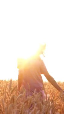 Neşeli kadın hafta sonu boyunca buğday tarlalarında dans edip zıplıyor. Doğa manzarası, doğa aktivitelerinin keyfi. Dikey video.