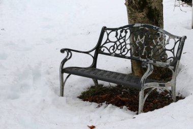 Wilmington Vermont 'ta bir ağaçta karla kaplı ve madalyalı bir bank var..