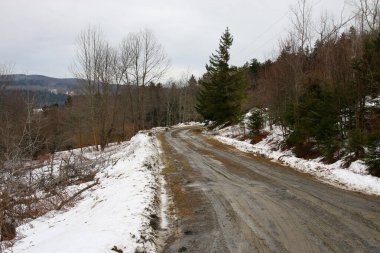 Güney Vermont ABD 'de karla kaplı ağaçlarla çevrili bir toprak yol.