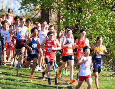 Wappingers Falls, New York, ABD - 18 Kasım 2023: Bowdoin Park New York 'ta 5K yarışırken yokuş aşağı koşan büyük bir grup çocuk.