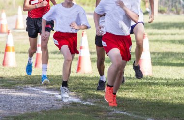 Batık Çayır Eyalet Parkı 'ndaki çimlere çizilen çizgiden sonra finsih çizgisine koşan liseli çapraz koşucular..
