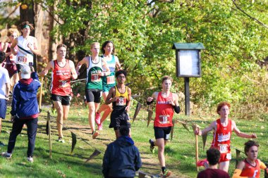 Wappingers Falls, New York, ABD - 18 Kasım 2023: Bir Kros Şampiyonası sırasında yokuş aşağı koşan liseli çocuklar.