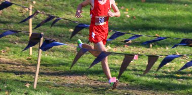 Wappingers Falls, New York, ABD - 18 Kasım 2023: Bir erkek koşucu, 5K şampiyonasında yokuş aşağı koşan bayrak işaretli bir yolda koşuyor.