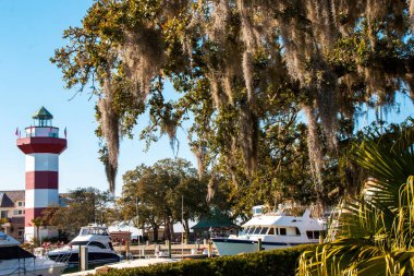 Hilton Head 'deki Marina' daki İspanyol Yosunu 'na bakıyorum. Arka planda Hilton Head Adası' ndaki Liman Kenti Deniz Feneri var..