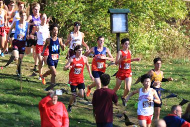 Wappinger Falls, New York, ABD - 18 Kasım 2023: Bowdoin Park 'taki 5K kırsal bir yarışın ortasında ormandan kaçan liseli çocuklar.