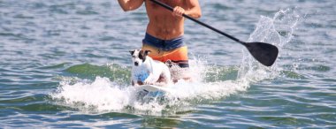 Üstsüz bir adam ve köpeği Atlantik Okyanusu 'nda bir sörf tahtasında dalga yakaladı..