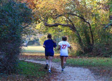 Koşucuların arka görünümü sonbaharda bir parkta neşeli bir koşuya çıkar..