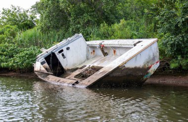 Bir tekne sığ sularda, kısmen batmış ve canlı bitkilerle çevrili bir açıda duruyor..